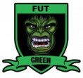 /album/alguns-escudos/fut-green-jpg/